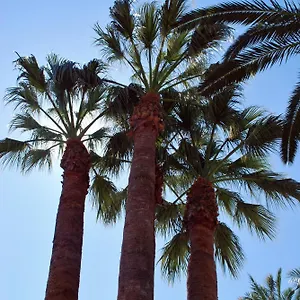 Les Palmeres Castell-Platja d’Aro